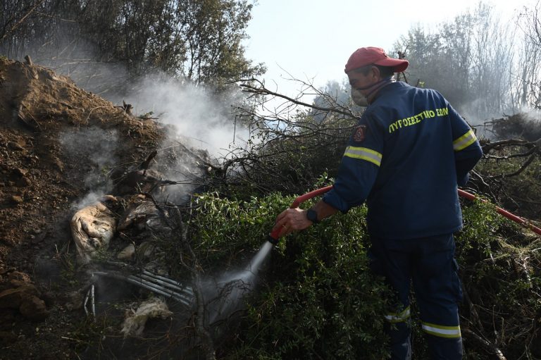 Φωτιά τώρα στη Βοιωτία: Επιχειρούν επίγειες και εναέριες δυνάμεις