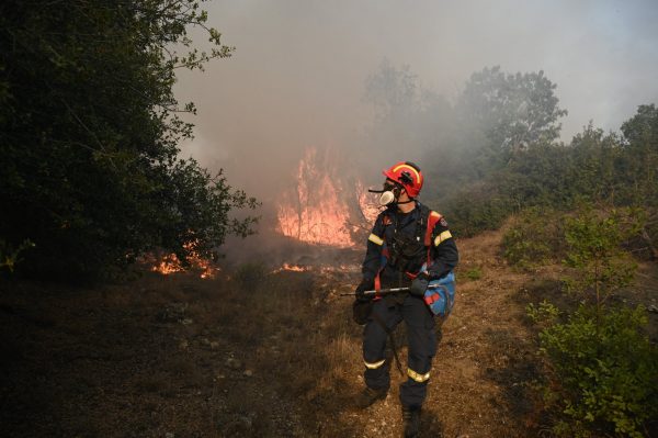 Φωτιά τώρα στη Ροδόπη: Συναγερμός στην Ξυλαγανή – Στη μάχη και εναέρια μέσα