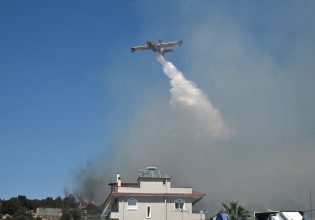 Φωτιά: «Καταβάτες άνεμοι πυροδοτούν επικίνδυνα την ατμόσφαιρα» – Καμπανάκι Τσατραφύλλια για την Αττική