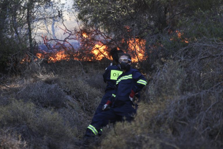 Πυρκαγιά στο Δίστομο Βοιωτίας