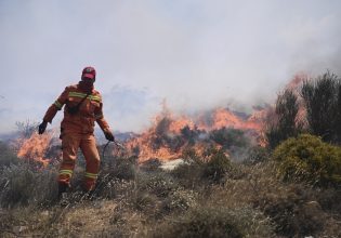 Φωτιά: Συναγερμός για πολύ υψηλό κίνδυνο πυρκαγιάς και θυελλώδεις ανέμους σήμερα – Στο «πορτοκαλί» 6 περιοχές