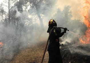 Νάξος: Πυρκαγιά σε δασική περιοχή – Μήνυμα του 112 ζητά την απομάκρυνση των κατοίκων