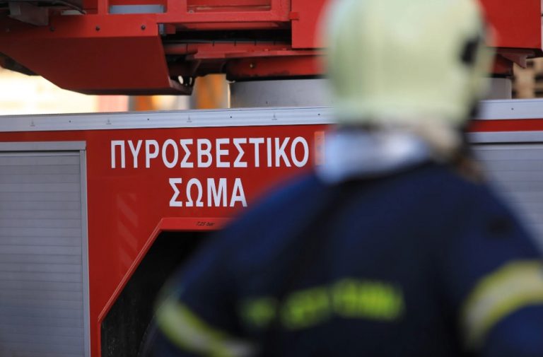 Φωτιά στο Νταού Πεντέλης