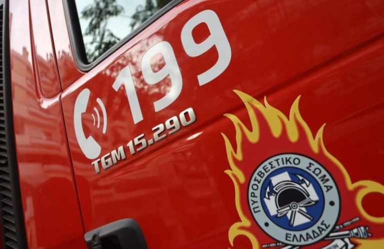 Χίος: Φωτιά στην περιοχή Βίκι – Επιχειρούν εναέρια μέσα