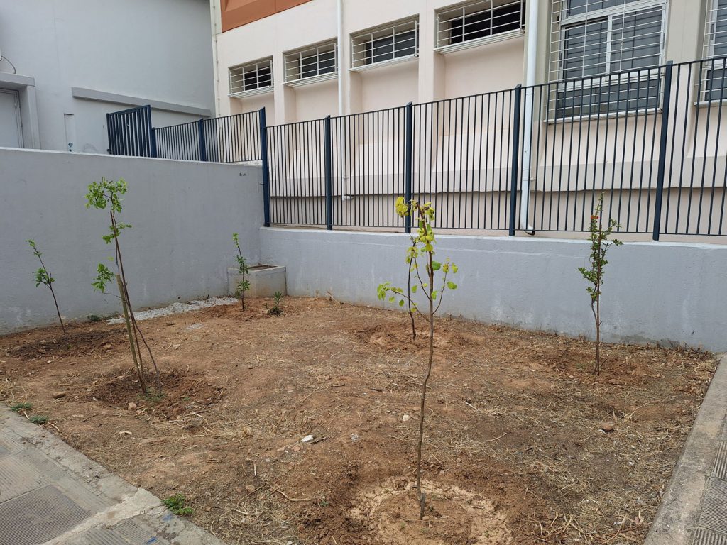 Δενδροφύτευση σε σχολεία του Πειραιά