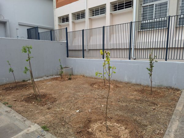 Δενδροφύτευση σε σχολεία του Πειραιά