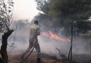 Φωτιά στη Σάμαρη Ευβοίας – Προειδοποιητικό μήνυμα του 112 στους κατοίκους