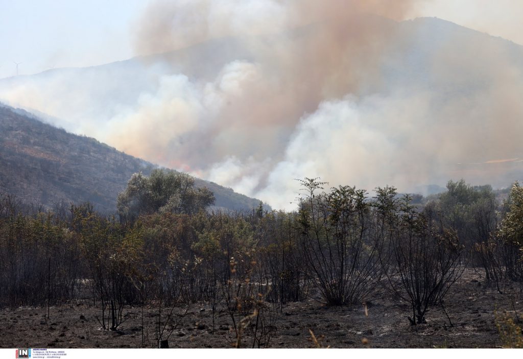 Φωτιά: Αυξημένος ο κίνδυνος εκδήλωσης και εξάπλωσης το Σαββατοκύριακο λόγω ισχυρών ανέμων
