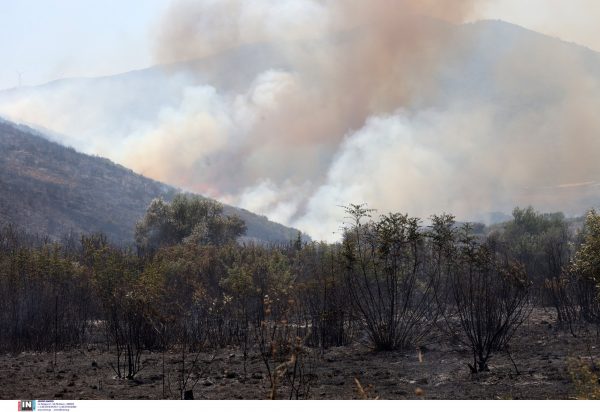 Φωτιά: Αυξημένος ο κίνδυνος εκδήλωσης και εξάπλωσης το Σαββατοκύριακο λόγω ισχυρών ανέμων