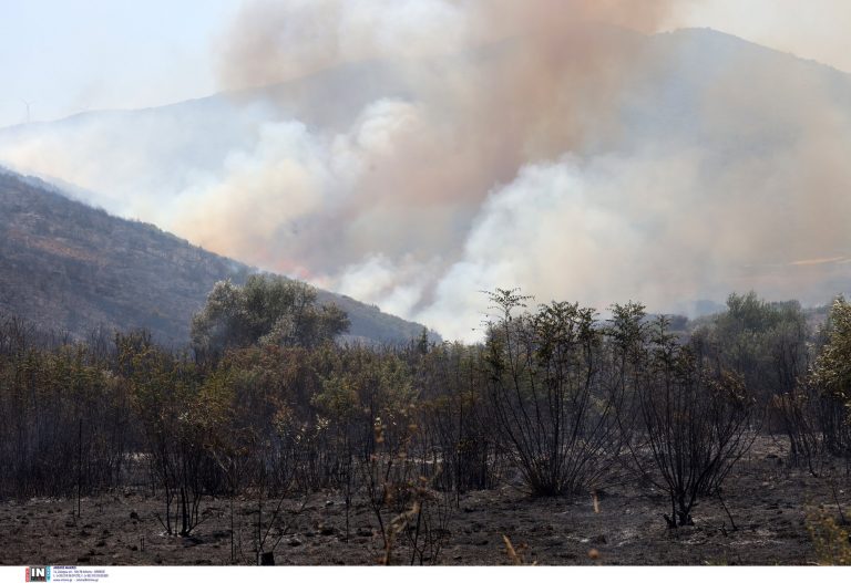 Φωτιά: Αυξημένος ο κίνδυνος εκδήλωσης και εξάπλωσης το Σαββατοκύριακο λόγω ισχυρών ανέμων