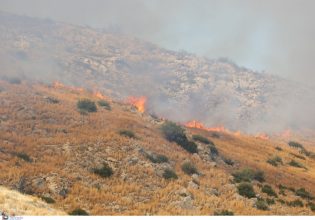 Φωτιά: Πολύ υψηλός ο κίνδυνος εκδήλωσης την Πέμπτη στην Αττική – Ποιες άλλες περιοχές κινδυνεύουν;
