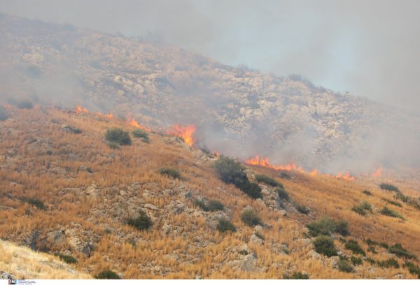 Φωτιά: Πολύ υψηλός ο κίνδυνος εκδήλωσης την Πέμπτη στην Αττική – Ποιες άλλες περιοχές κινδυνεύουν;