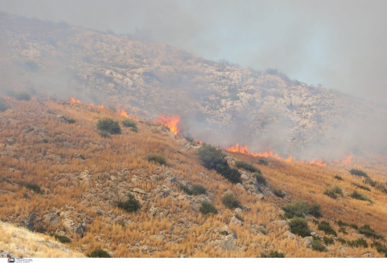Φωτιά: Πολύ υψηλός ο κίνδυνος εκδήλωσης την Πέμπτη στην Αττική – Ποιες άλλες περιοχές κινδυνεύουν;