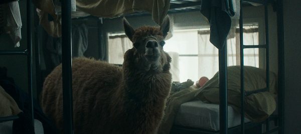 Άμστερνταμ: Το ξενοδοχείο που αυτοδιαφημίζεται ως το χειρότερο στον κόσμο