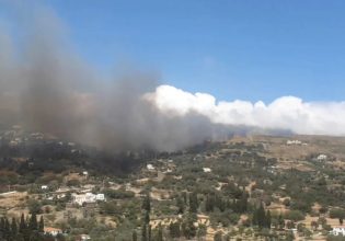 Φωτιά στην Άνδρο: Eκκενώθηκαν τέσσερις περιοχές, άνεμοι 8 μποφόρ πνέουν στο νησί