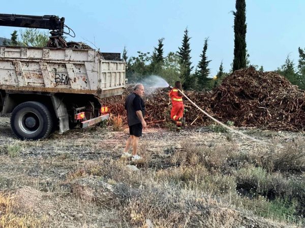 Κινητοποίηση του δήμου Παπάγου – Χολαργού για την ύπαρξη συμπαγούς όγκου κλαδιών