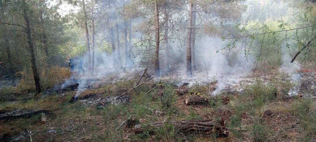 Θεσσαλονίκη: Συνελήφθη 25χρονος για εκ προθέσεως εμπρησμό στο Σέιχ Σου – Τι βρέθηκε πάνω του