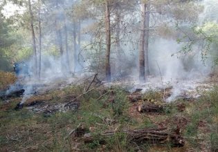 Θεσσαλονίκη: Συνελήφθη 25χρονος για εκ προθέσεως εμπρησμό στο Σέιχ Σου – Τι βρέθηκε πάνω του
