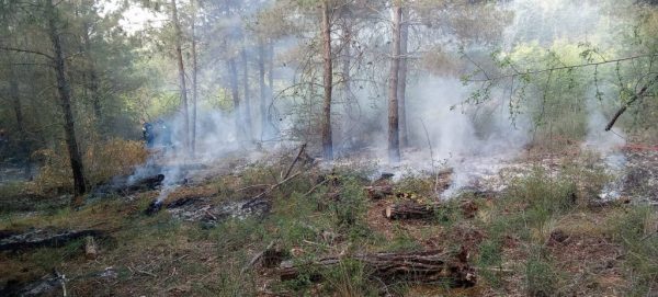 Θεσσαλονίκη: Συνελήφθη 25χρονος για εκ προθέσεως εμπρησμό στο Σέιχ Σου – Τι βρέθηκε πάνω του