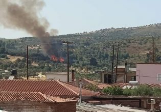 Φωτιά στο Κοντοδεσπότι Εύβοιας – Μεγάλη κινητοποίηση της πυροσβεστικής