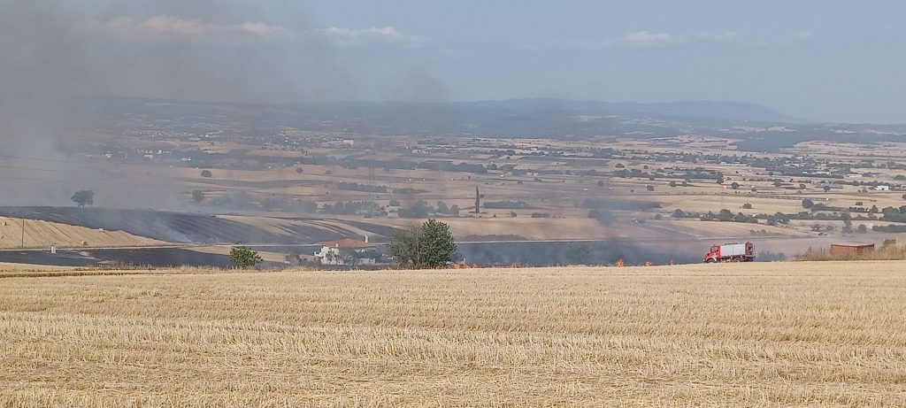 Υπό μερικό έλεγχο η φωτιά στον Δρυμό Θεσσαλονίκης – Επιχειρεί ελικόπτερο