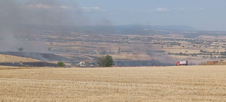 Υπό μερικό έλεγχο η φωτιά στον Δρυμό Θεσσαλονίκης – Επιχειρεί ελικόπτερο