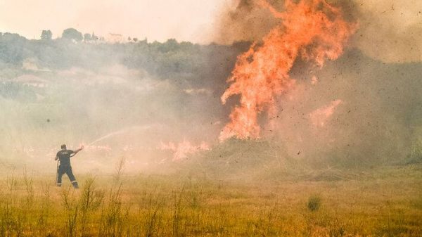 Φωτιά στην Αρκαδία: Συναγερμός στην Πυροσβεστική – Επιχείρησαν εναέριες δυνάμεις
