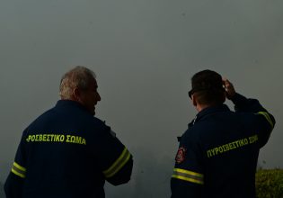 Φωτιά στη Ραφήνα: Συνελήφθη αλλοδαπός ως υπαίτιος – Το είχε ξανακάνει πριν δύο εβδομάδες