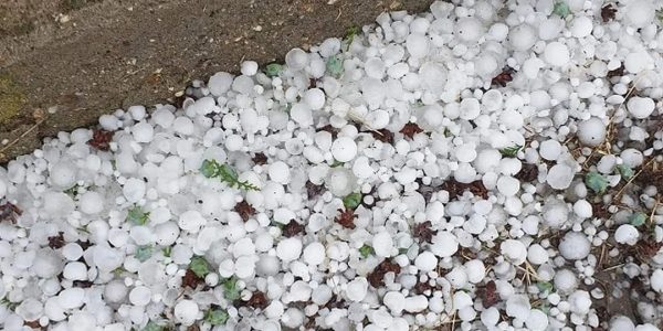 Έβρος: Έπεσε χαλάζι σε μέγεθος καρυδιού – Ζημιές σε καλλιέργειες