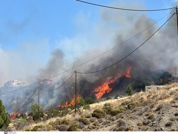 Φωτιά στην Αιτωλοακαρνανία: Σε αγροτοδασική έκταση στον Μαχαιρά