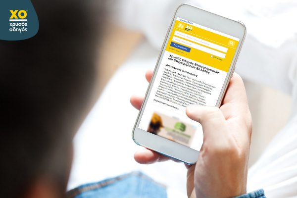 Χρυσός Οδηγός: One-Stop-Shop για Μικρομεσαίες Επιχειρήσεις