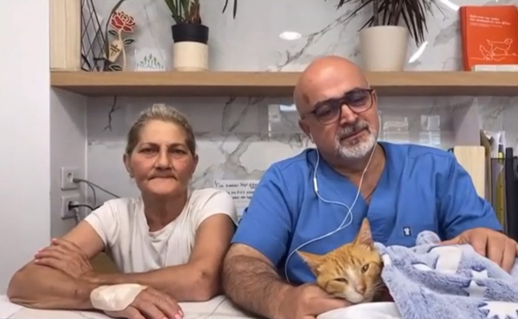 Κακοποίηση ζώου: Γατάκι με κομμένα τα τρία από τα τέσσερα πόδια του – Το έκανε «άνθρωπος» εκτιμά κτηνίατρος