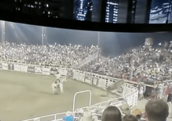 Θρίλερ στο Όρεγκον: Ταύρος ξέφυγε από την αρένα και επιτέθηκε σε θεατές