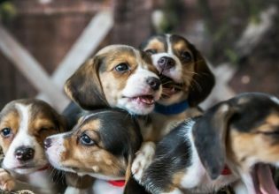 Άγιος Παντελεήμονας: Αιματηρό επεισόδιο σε καφενείο με έναν τραυματία