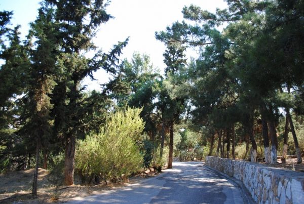 Δήμος τοποθέτησε σύστημα έγκαιρης ανίχνευσης δασικών πυρκαγιών