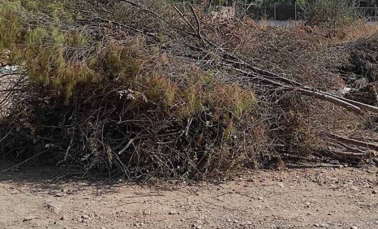 Πυροπροστασία: Αναζητούνται λύσεις εδώ και τώρα – Σε αναβρασμό οι δήμοι