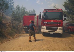 Εντάχθηκαν από το Πράσινο Ταμείο οι 12 πρώτοι δήμοι στο πρόγραμμα πυροπροστασίας οικισμών του ΥΠΕΝ