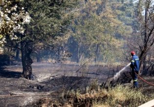 272 χιλιάδες ευρώ για έργα πυροπροστασίας στο δήμο Ελληνικού – Αργυρούπολης
