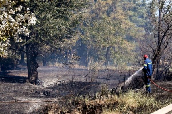 272 χιλιάδες ευρώ για έργα πυροπροστασίας στο δήμο Ελληνικού – Αργυρούπολης