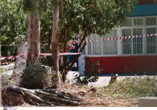 Τραγωδία στου Παπάγου: Δείτε το σημείο όπου καταπλακώθηκε από δέντρο ο 47χρονος δημοτικός υπάλληλος
