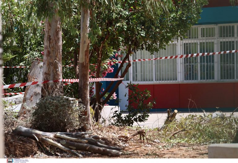 Τραγωδία στου Παπάγου: Δείτε το σημείο όπου καταπλακώθηκε από δέντρο ο 47χρονος δημοτικός υπάλληλος
