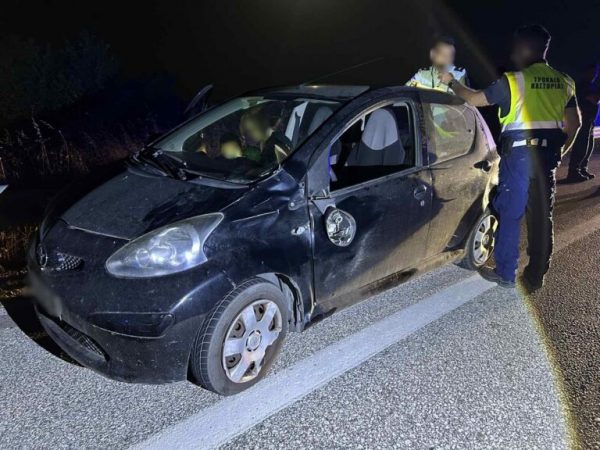 Νέο τροχαίο με αρκούδα στην Καστοριά – Σοβαρές υλικές ζημιές στο αυτοκίνητο