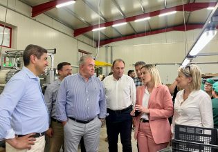 Προτροπή Αυγενάκη σε φραουλοπαραγωγούς να συστήσουν Διεπαγγελματική