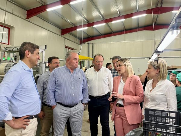 Προτροπή Αυγενάκη σε φραουλοπαραγωγούς να συστήσουν Διεπαγγελματική