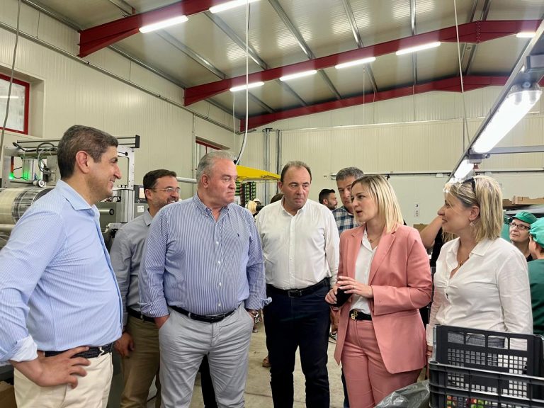 Προτροπή Αυγενάκη σε φραουλοπαραγωγούς να συστήσουν Διεπαγγελματική