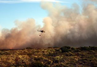 Διπλάσια η συχνότητα και το μέγεθος των δασικών πυρκαγιών τα τελευταία 20 χρόνια