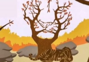 Τεστ προσωπικότητας: Πώς αντιμετωπίζετε τα πράγματα στη ζωή – Είστε προσεκτικός ή πιο… cool;