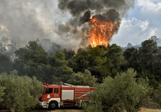Νευροκόπι: Φωτιά σε δασική έκταση στην περιοχή Τσακαλίνα