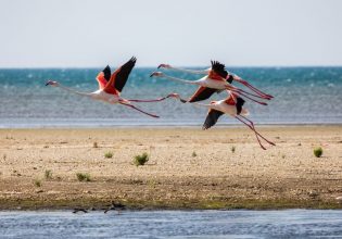 Καλοκαίρι στον Έβρο: Όλα όσα θα κάνετε και θα δείτε