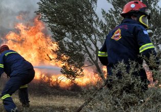 Κικίλιας: Προσοχή τις επόμενες ημέρες – Επικίνδυνο κοκτέιλ για την εκδήλωση πυρκαγιών